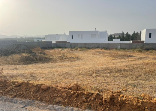 terrain a vendre a hammamet sud Monchar - Bien immobilier à {"id":16,"country_id":219,"name":"NABEUL","slug":"nabeul"} - Image 2 - Agence Immobilière Maison Plus Elite